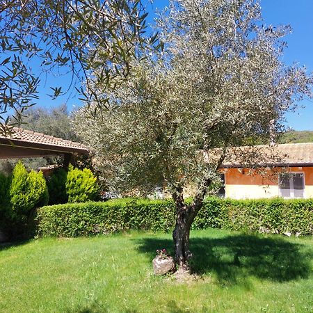 Casa Vacanza Centro Sardegna Sorgono Exteriér fotografie