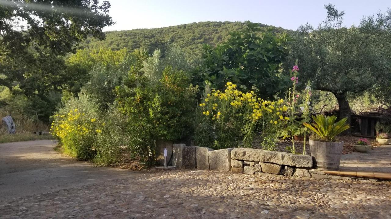 Casa Vacanza Centro Sardegna Sorgono Exteriér fotografie