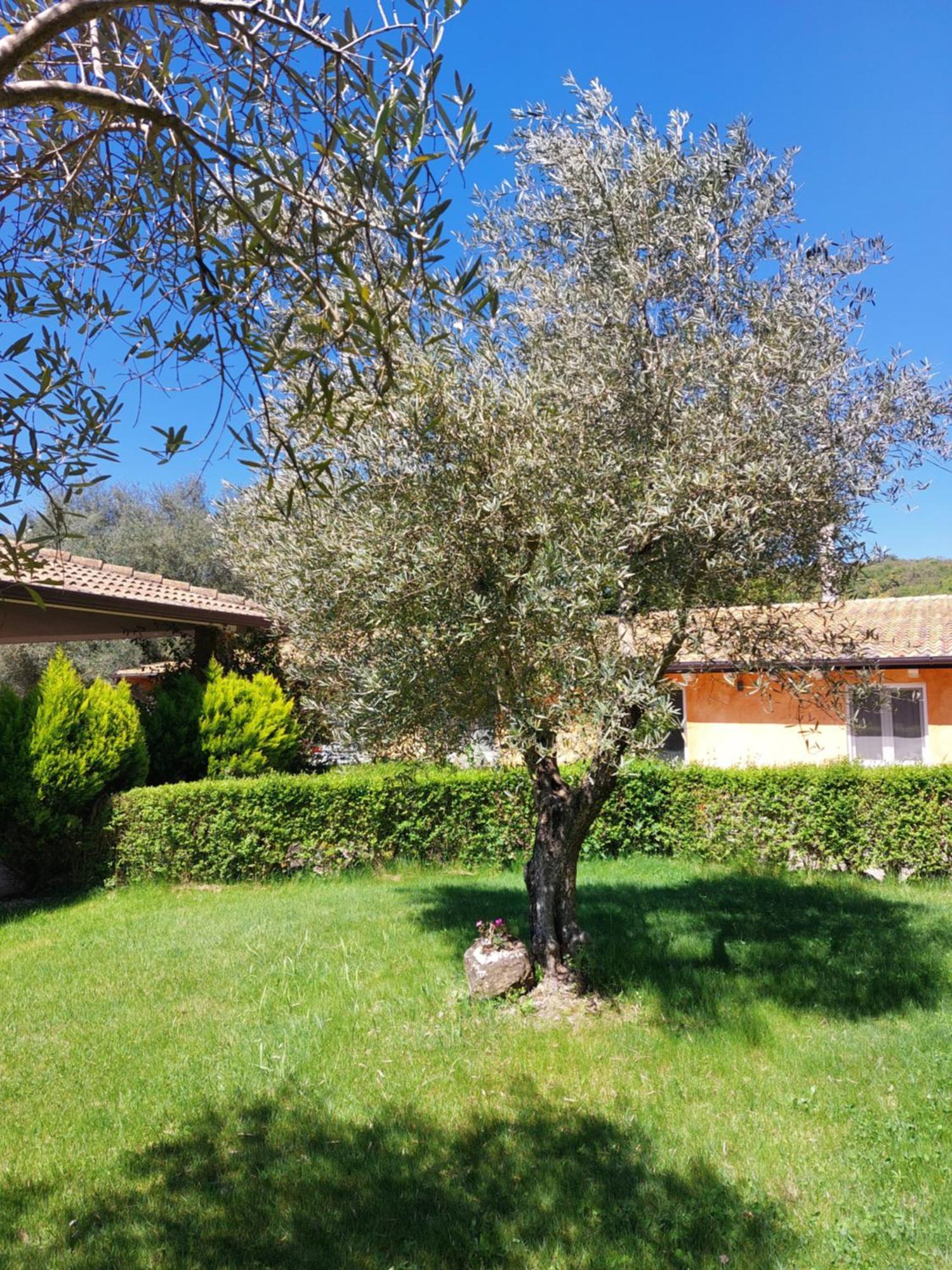 Casa Vacanza Centro Sardegna Sorgono Exteriér fotografie