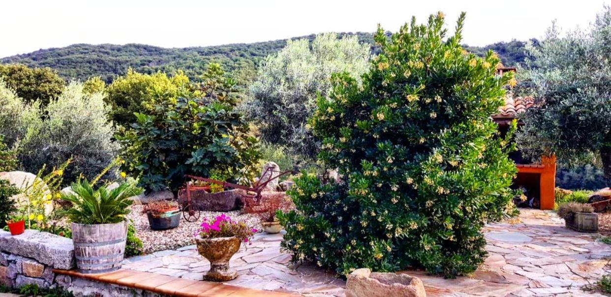 Casa Vacanza Centro Sardegna Sorgono Exteriér fotografie