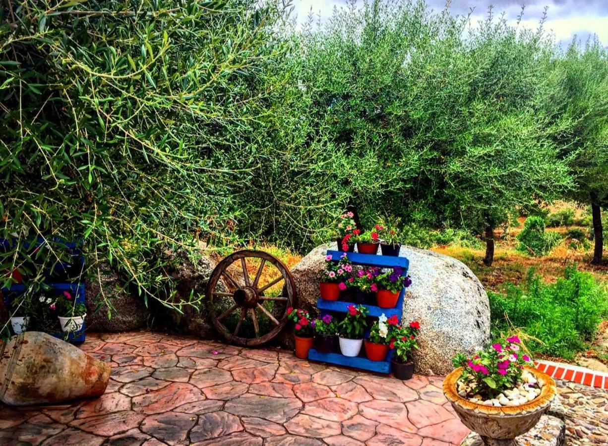 Casa Vacanza Centro Sardegna Sorgono Exteriér fotografie