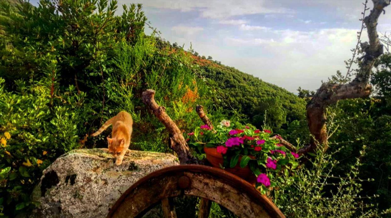Casa Vacanza Centro Sardegna Sorgono Exteriér fotografie